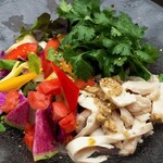 TAKIEY - Chicken&Organic Cilantro Salad