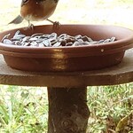 くつきそば 永昌庵 - 