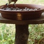 くつきそば 永昌庵 - 