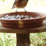 くつきそば 永昌庵 - 