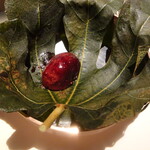 ムニ アラン デュカス - 失念