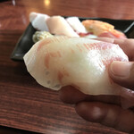 Furukawa - 大きな真鯛