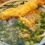 Marugame Seimen - 