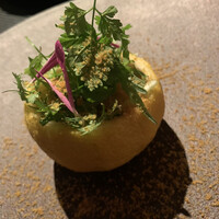 インカメラ コン テラッツァ - 