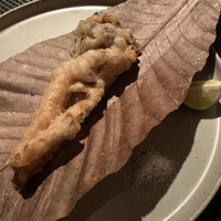 インカメラ コン テラッツァ - 