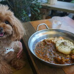 チョップ キャンプ - chop campカレーは美味しさ満点でコスパも最高