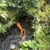 芹生 - 