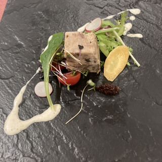 八ヶ岳わんわんパラダイス_0