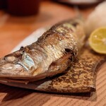 アナゴちらし小町 - イワシ塩焼き　激ウマ!