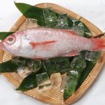 지자케야 사쿠야 - 노도구로