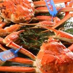 지자케야 사쿠야