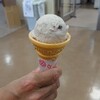静岡市立登呂博物館ミュージアムショップ