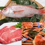 지자케야 사쿠야