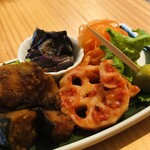 サルメリア コメスタ - 