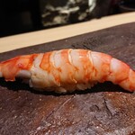 寿しの吉乃 - 車海老