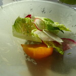 MUNI LA TERRASSE - サラダ　トマトが甘くて他の野菜との味バランスが良かった