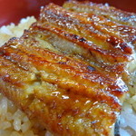 Unashin - 柔らかく最高に美味しい鰻