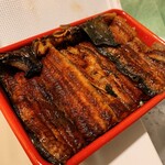 Unagi Unasakura - 