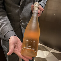 スガラボヴィー - 