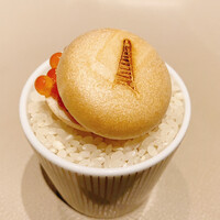 スガラボヴィー - 