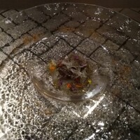 ヴィヴァッカス - 