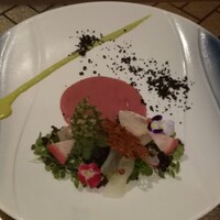 ヴィヴァッカス - 