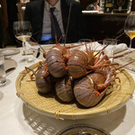 スガラボヴィー - 