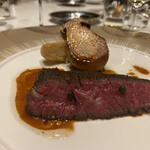 スガラボヴィー - 