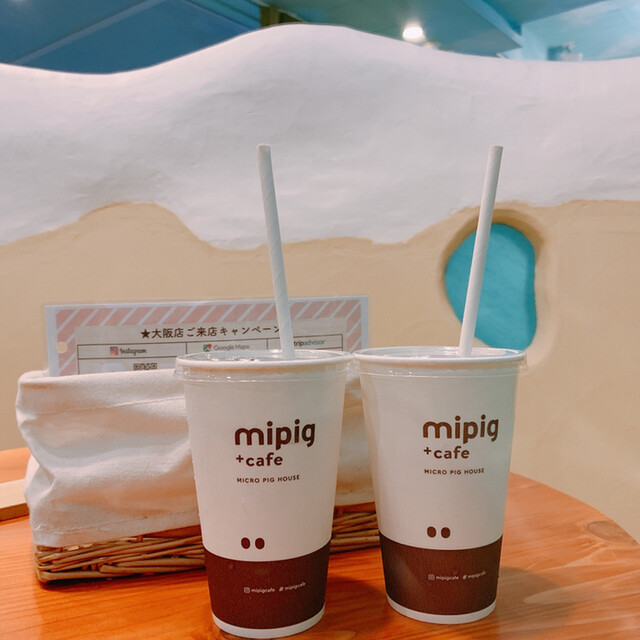 マイピッグカフェ 大阪店 Mipig Cafe 心斎橋 その他 食べログ マイピッグカフェ 大阪店 Mipig Cafe 心斎橋 その他 食べログ