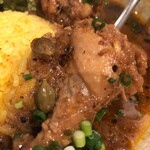 SPICY CURRY 魯珈 - カルダモンがホールのまま、ソソリマス