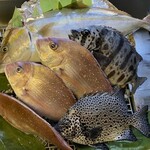 開花屋 - 旬の地魚