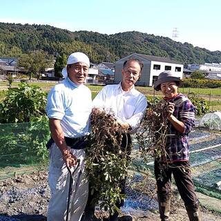 特別栽培農産物の旨味を活かすこだわりの逸品とコースも自慢◎