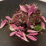 マダム・トキ - 