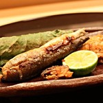 日本料理　百屋 - 天然のあゆです～ｖｖ