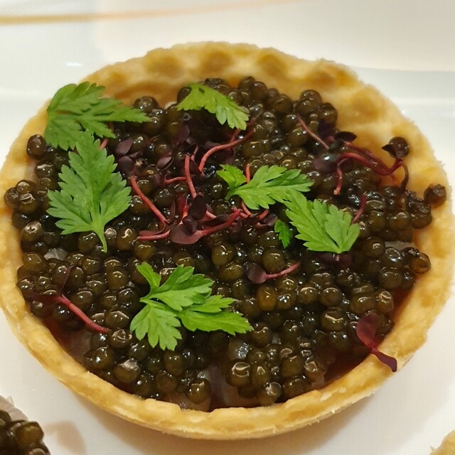 ロックウッド ホテル スパ Rockwood Hotel Spa 旧店名 ナクア白神ホテル リゾート 鰺ヶ沢 旅館 食べログ ロックウッド ホテル スパ Rockwood Hotel Spa 旧店名 ナクア白神ホテル リゾート 鰺ヶ沢 旅館 食べログ