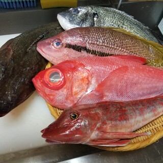 厳選された産地直送の魚介類を、週替りのお刺身でご提供