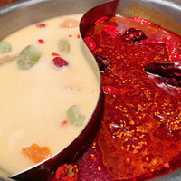 雪梅花 菜根譚 - 