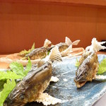 こづち - 【H24.7.18】新潟からの長旅、お疲れさまです。