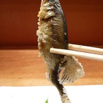 こづち - 【H24.7.18】戴きまーす♪