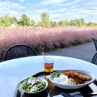 オープンテラス 平塚でおすすめのグルメ情報をご紹介 食べログ