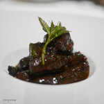 カンテサンス - 