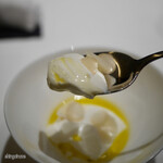 カンテサンス - 