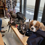 喫茶ランドリー - 