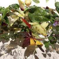 レフェルヴェソンス - 