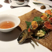 レフェルヴェソンス - 