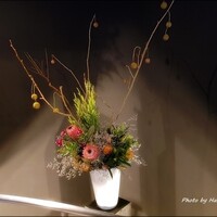 Liliane - 