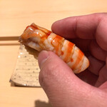 すし宮川  - 車海老