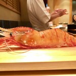 鮨 とかみ - 2020.10.  特大の牡丹海老