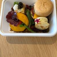 スプレンディード - 