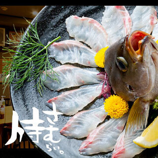 九州の地魚料理 侍_0